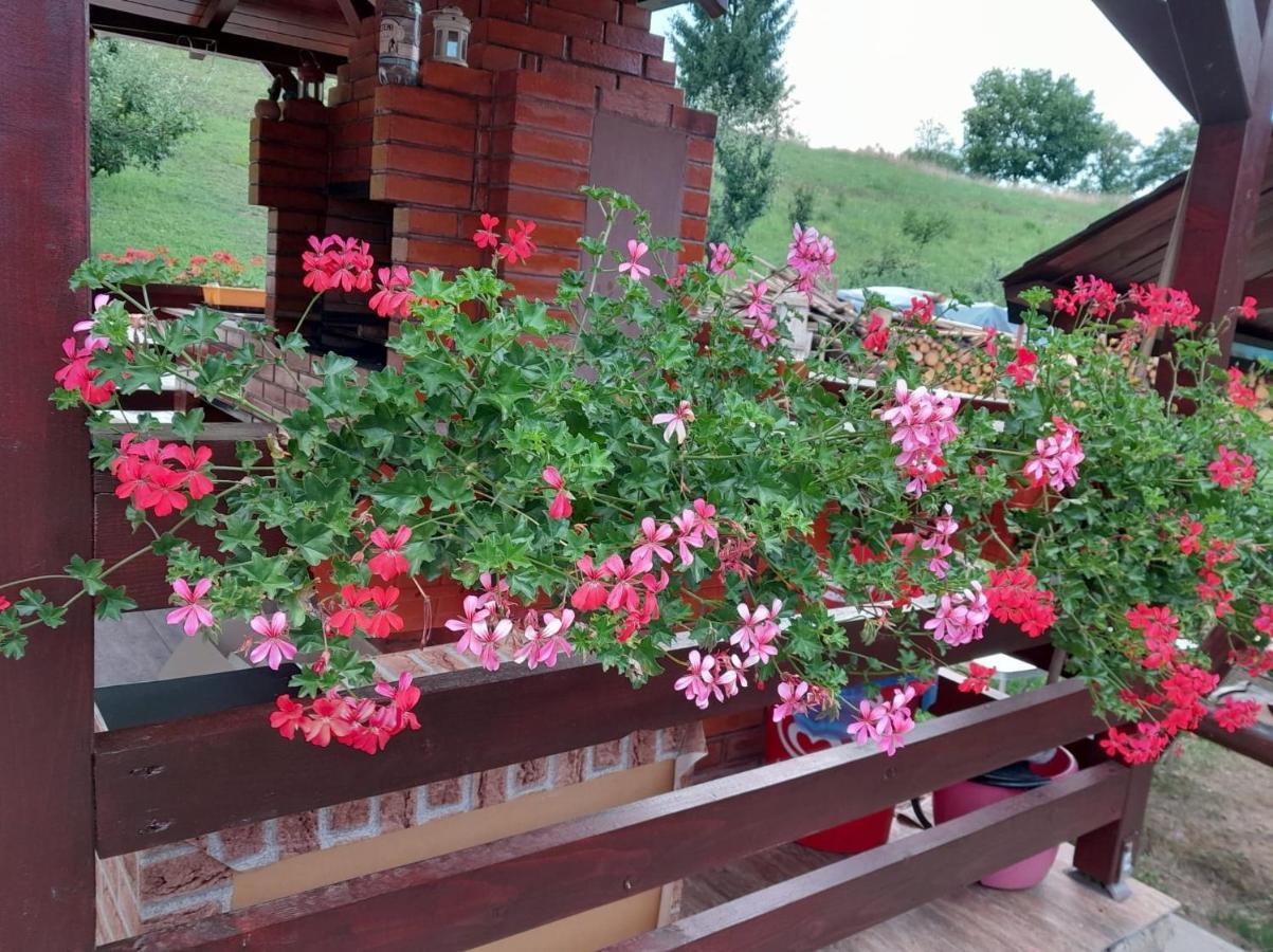 Casa Alex Hotel Maroshévíz Kültér fotó