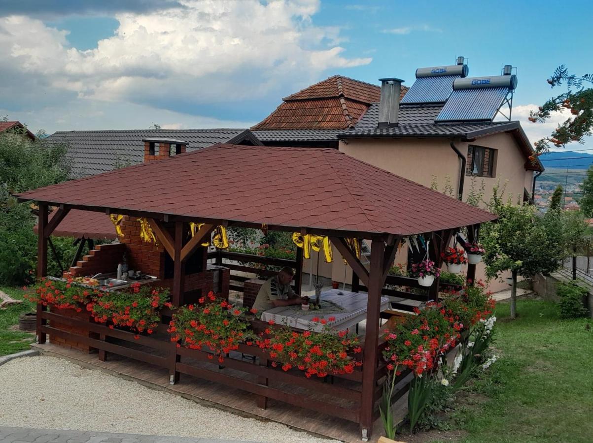 Casa Alex Hotel Maroshévíz Kültér fotó