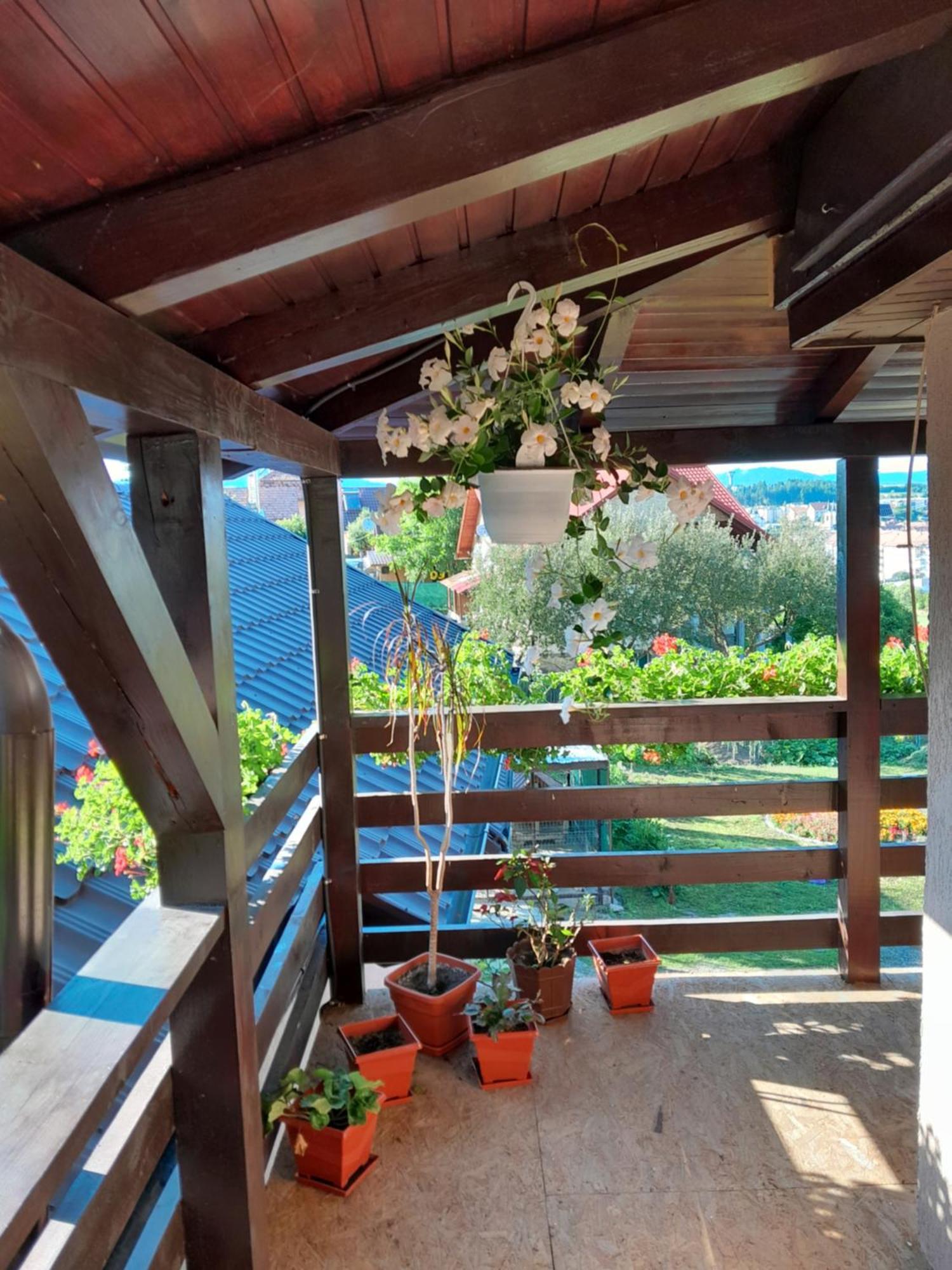 Casa Alex Hotel Maroshévíz Kültér fotó