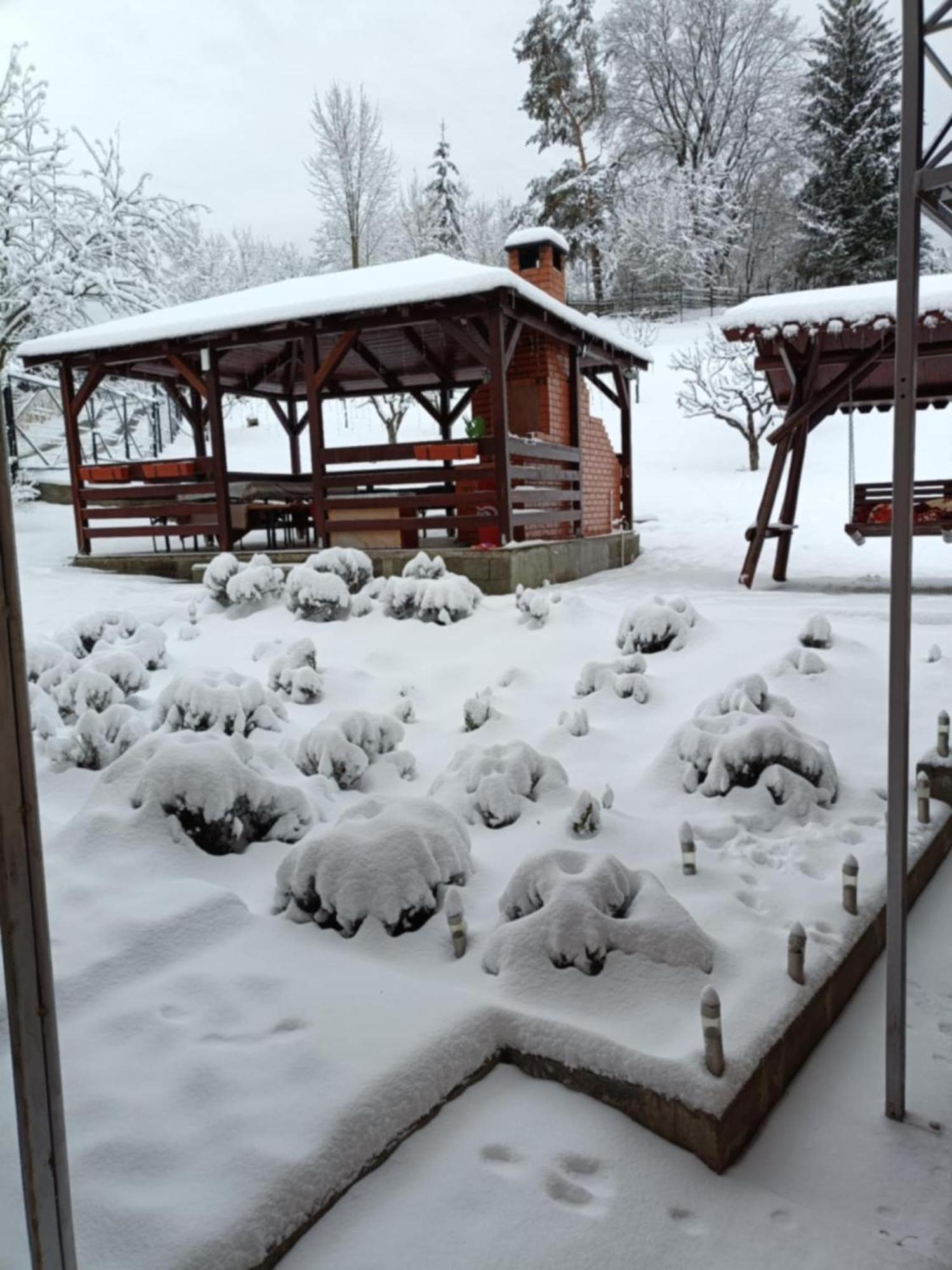 Casa Alex Hotel Maroshévíz Kültér fotó