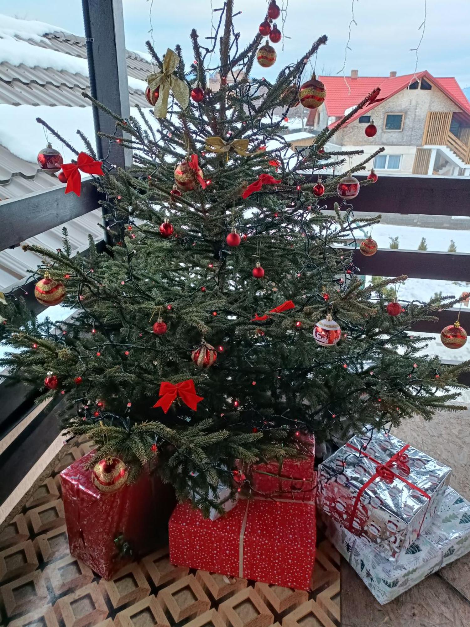 Casa Alex Hotel Maroshévíz Kültér fotó